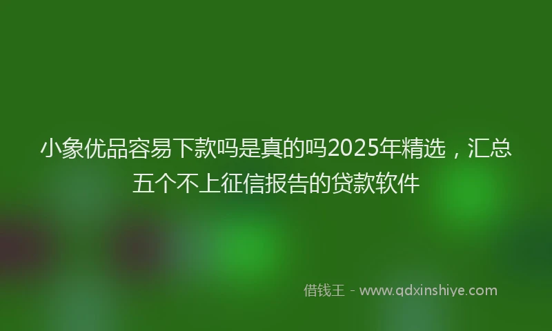 小象优品容易下款吗是真的吗2025年精选，汇总五个不上征信报告的贷款软件