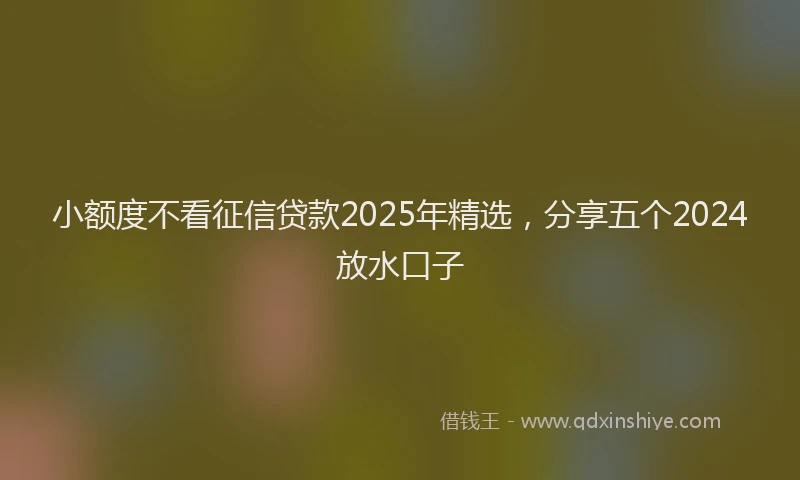 小额度不看征信贷款2025年精选，分享五个2024放水口子