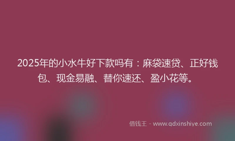 2025年的小水牛好下款吗有：麻袋速贷、正好钱包、现金易融、替你速还、盈小花等。
