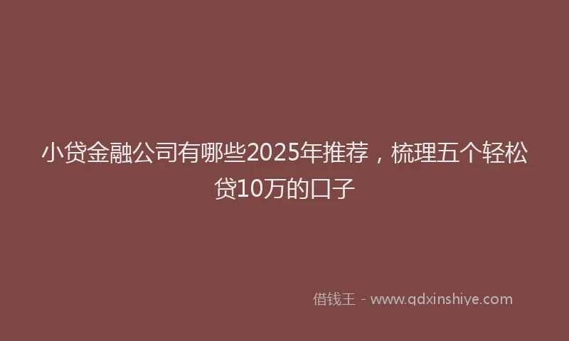 小贷金融公司有哪些2025年推荐，梳理五个轻松贷10万的口子