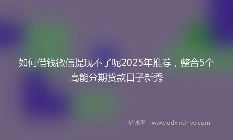 如何借钱微信提现不了呢2025年推荐，整合5个高能分期贷款口子新秀