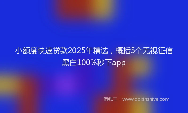 小额度快速贷款2025年精选，概括5个无视征信黑白100%秒下app