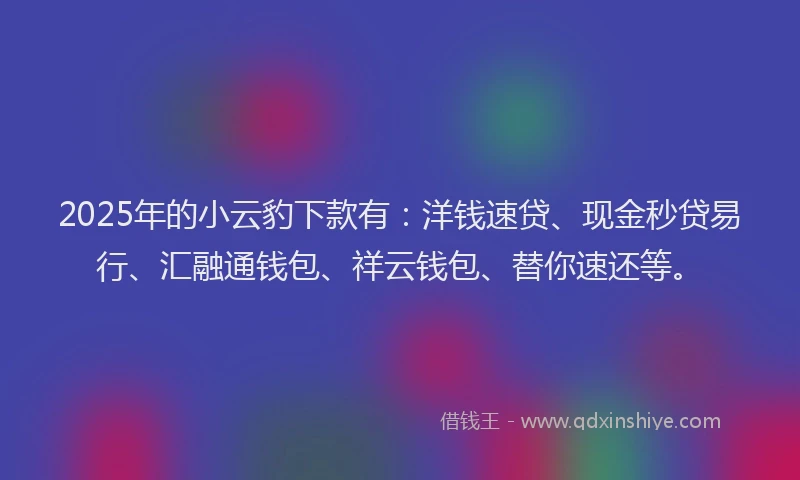 2025年的小云豹下款有：洋钱速贷、现金秒贷易行、汇融通钱包、祥云钱包、替你速还等。