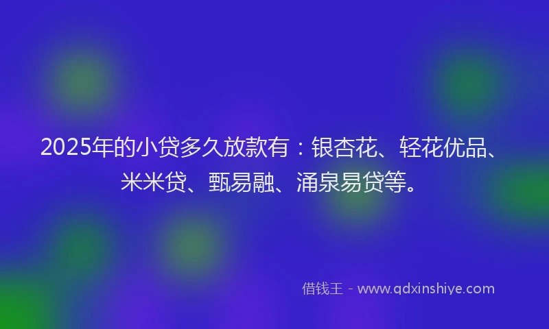 2025年的小贷多久放款有：银杏花、轻花优品、米米贷、甄易融、涌泉易贷等。