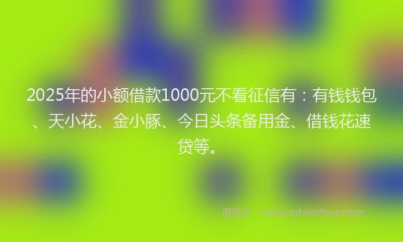 2025年的小额借款1000元不看征信有:有钱钱包、天小花、金小豚、今日头条备用金、借钱花速贷等。