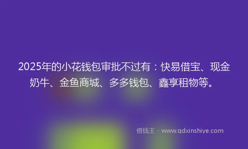 2025年的小花钱包审批不过有：快易借宝、现金奶牛、金鱼商城、多多钱包、鑫享租物等。