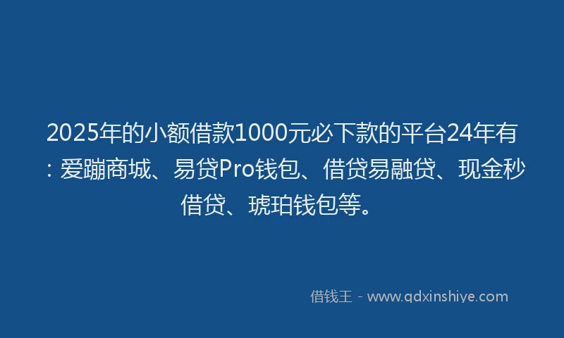 2025年的小额借款1000元必下款的平台24年有：爱蹦商城、易贷Pro钱包、借贷易融贷、现金秒借贷、琥珀钱包等。