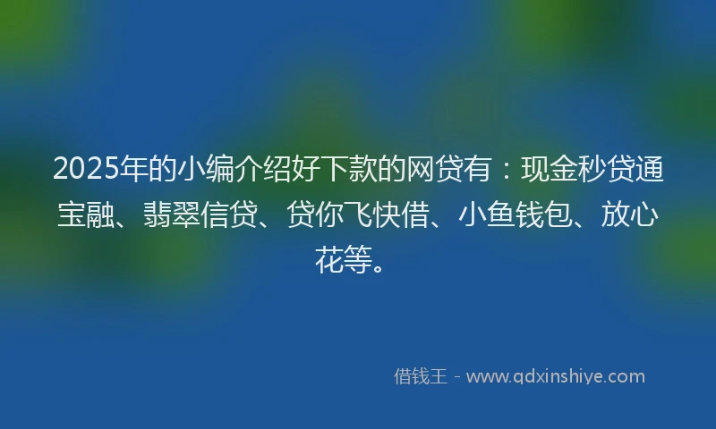 2025年的小编介绍好下款的网贷有：现金秒贷通宝融、翡翠信贷、贷你飞快借、小鱼钱包、放心花等。