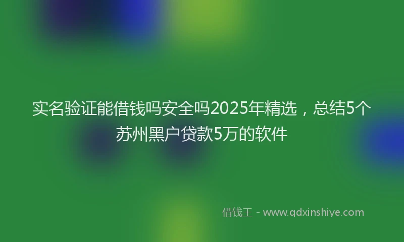 实名验证能借钱吗安全吗2025年精选，总结5个苏州黑户贷款5万的软件