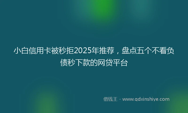 小白信用卡被秒拒2025年推荐，盘点五个不看负债秒下款的网贷平台