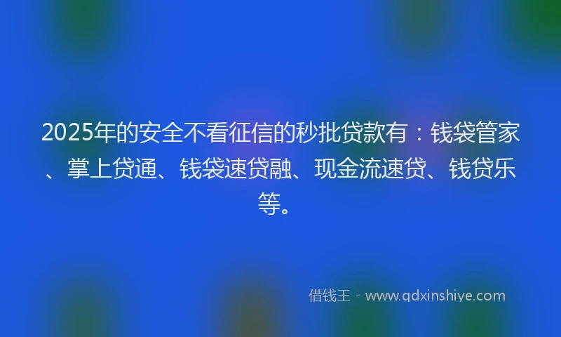 2025年的安全不看征信的秒批贷款有：钱袋管家、掌上贷通、钱袋速贷融、现金流速贷、钱贷乐等。