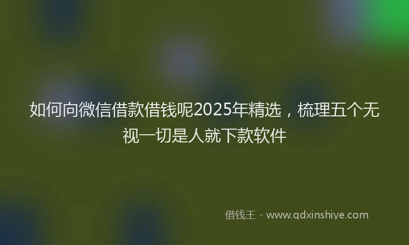 如何向微信借款借钱呢2025年精选，梳理五个无视一切是人就下款软件