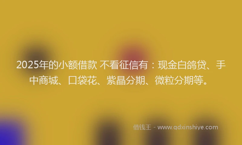 2025年的小额借款 不看征信有：现金白鸽贷、手中商城、口袋花、紫晶分期、微粒分期等。