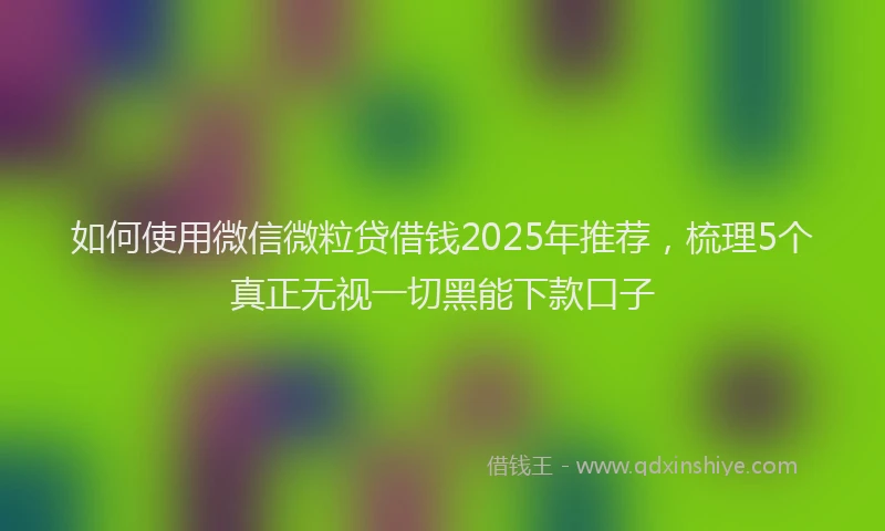 如何使用微信微粒贷借钱2025年推荐，梳理5个真正无视一切黑能下款口子