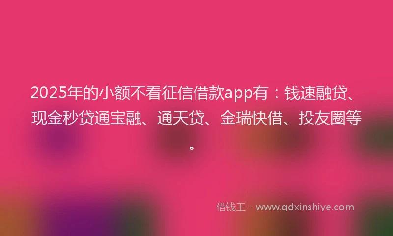 2025年的小额不看征信借款app有：钱速融贷、现金秒贷通宝融、通天贷、金瑞快借、投友圈等。