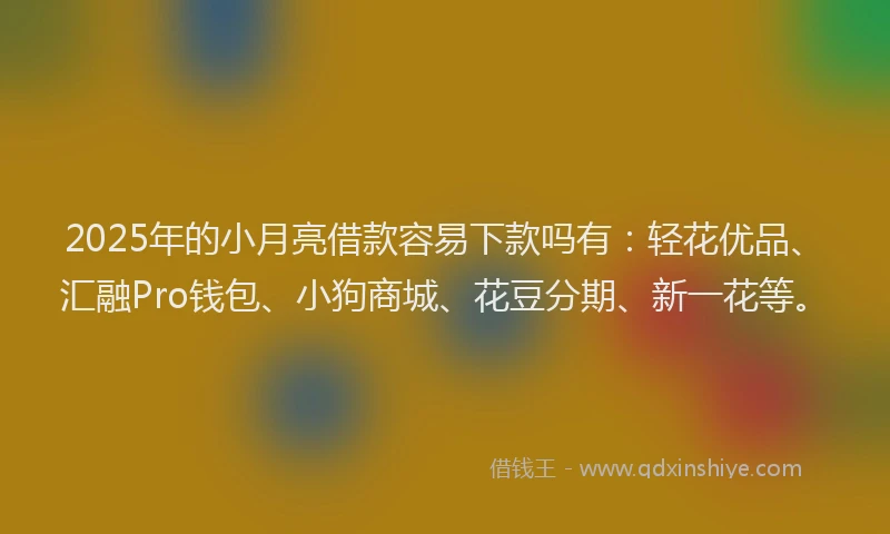 2025年的小月亮借款容易下款吗有：轻花优品、汇融Pro钱包、小狗商城、花豆分期、新一花等。