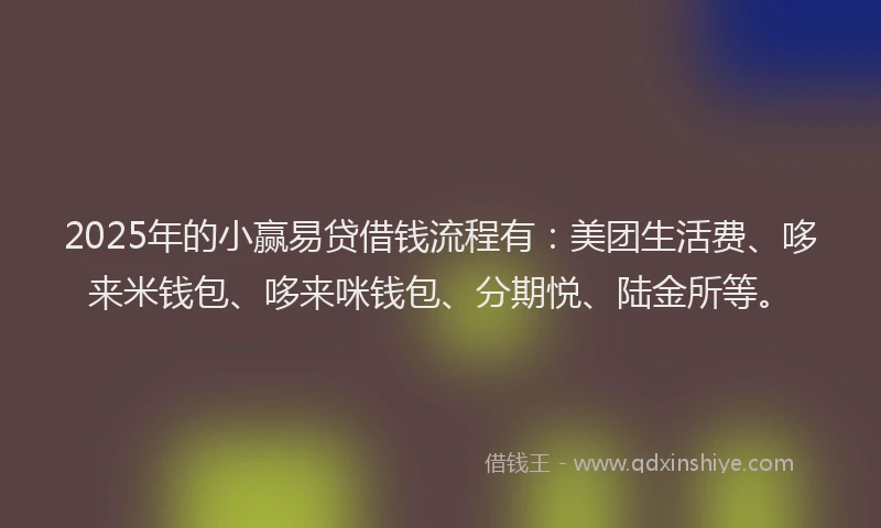 2025年的小赢易贷借钱流程有：美团生活费、哆来米钱包、哆来咪钱包、分期悦、陆金所等。
