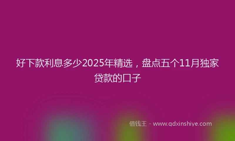 好下款利息多少2025年精选，盘点五个11月独家贷款的口子