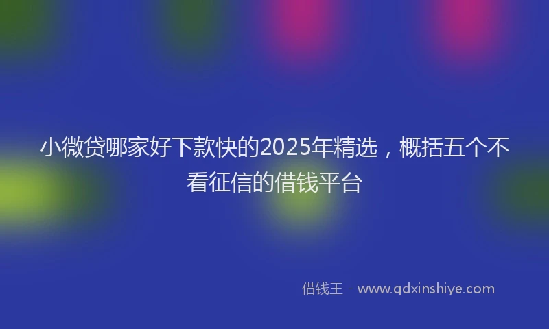 小微贷哪家好下款快的2025年精选，概括五个不看征信的借钱平台