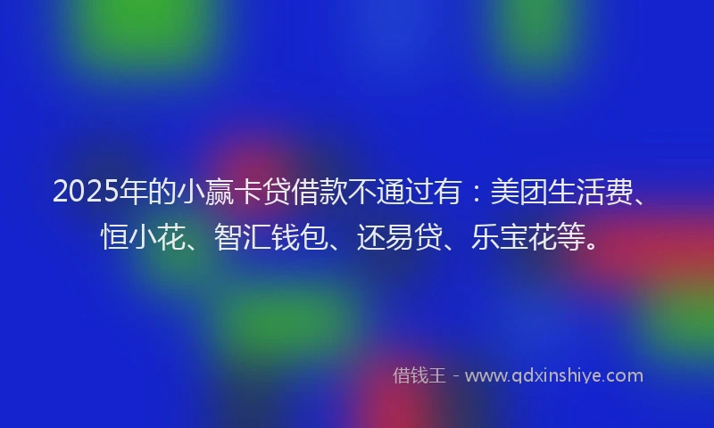 2025年的小赢卡贷借款不通过有：美团生活费、恒小花、智汇钱包、还易贷、乐宝花等。