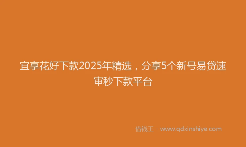 宜享花好下款2025年精选，分享5个新号易贷速审秒下款平台