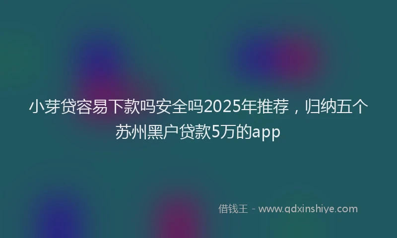 小芽贷容易下款吗安全吗2025年推荐，归纳五个苏州黑户贷款5万的app