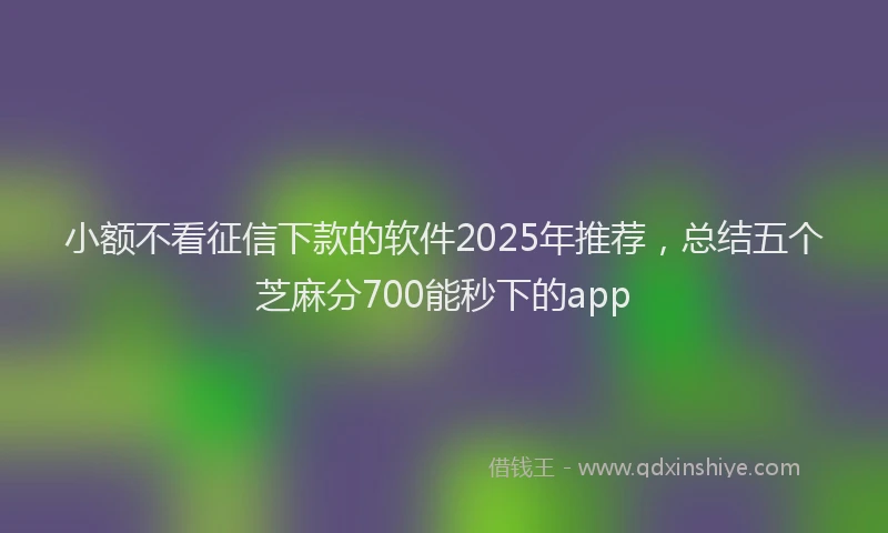 小额不看征信下款的软件2025年推荐，总结五个芝麻分700能秒下的app