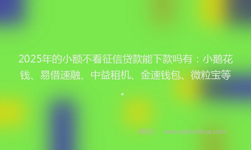 2025年的小额不看征信贷款能下款吗有：小鹅花钱、易借速融、中益租机、金速钱包、微粒宝等。