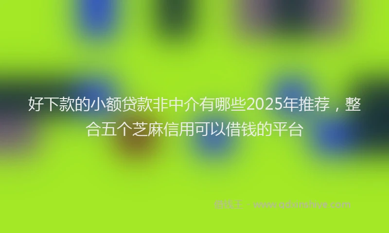 好下款的小额贷款非中介有哪些2025年推荐，整合五个芝麻信用可以借钱的平台
