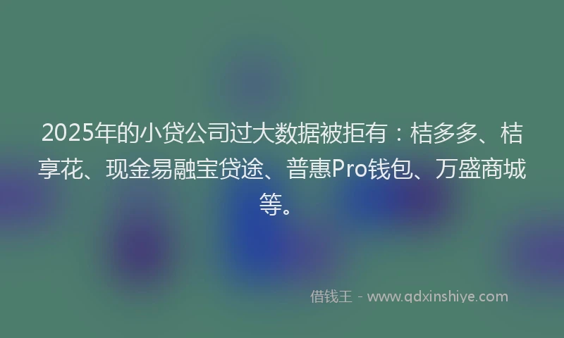 2025年的小贷公司过大数据被拒有：桔多多、桔享花、现金易融宝贷途、普惠Pro钱包、万盛商城等。