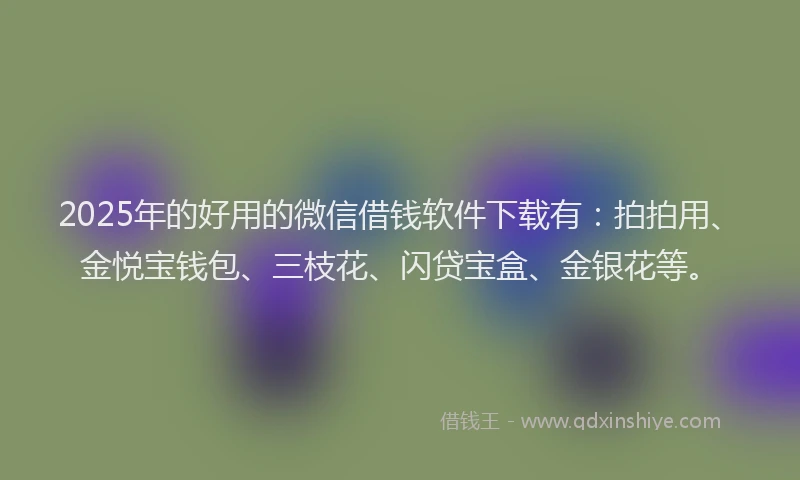 2025年的好用的微信借钱软件下载有：拍拍用、金悦宝钱包、三枝花、闪贷宝盒、金银花等。