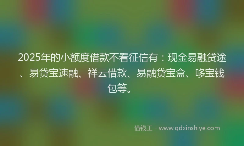 2025年的小额度借款不看征信有：现金易融贷途、易贷宝速融、祥云借款、易融贷宝盒、哆宝钱包等。