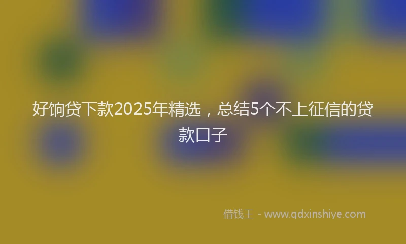好饷贷下款2025年精选，总结5个不上征信的贷款口子