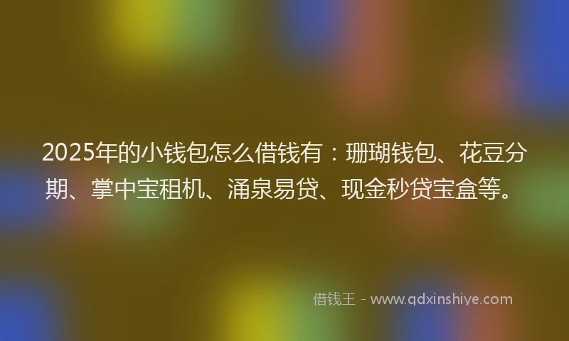 2025年的小钱包怎么借钱有：珊瑚钱包、花豆分期、掌中宝租机、涌泉易贷、现金秒贷宝盒等。