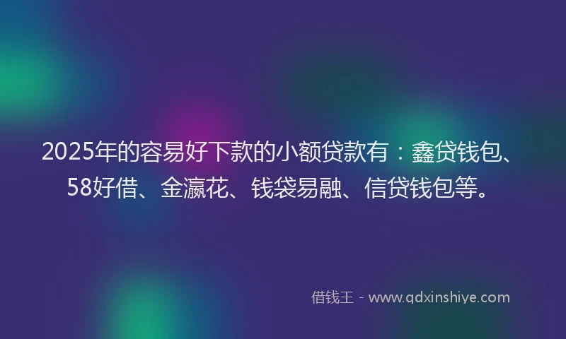 2025年的容易好下款的小额贷款有：鑫贷钱包、58好借、金瀛花、钱袋易融、信贷钱包等。