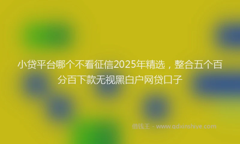 小贷平台哪个不看征信2025年精选，整合五个百分百下款无视黑白户网贷口子