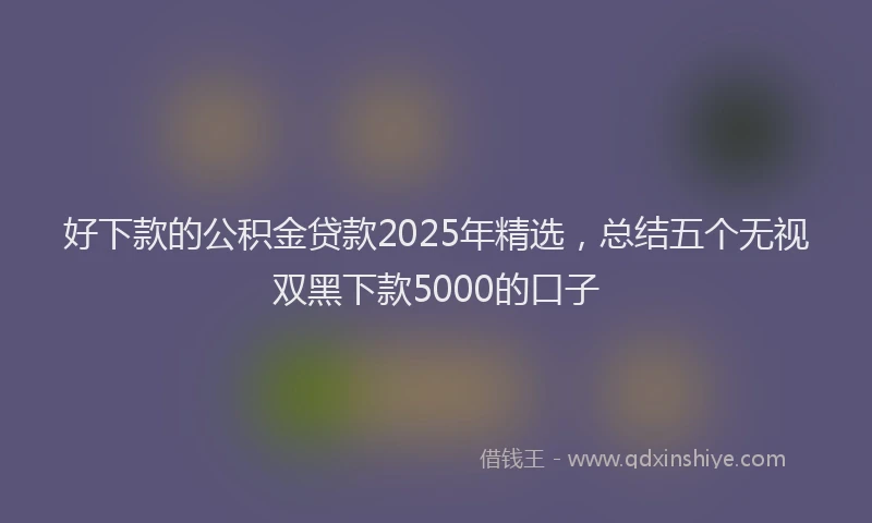 好下款的公积金贷款2025年精选，总结五个无视双黑下款5000的口子