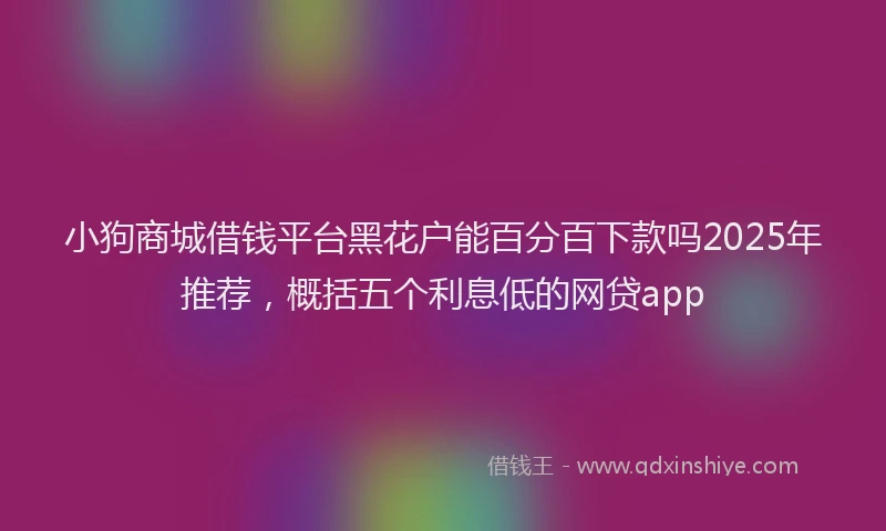 小狗商城借钱平台黑花户能百分百下款吗2025年推荐，概括五个利息低的网贷app