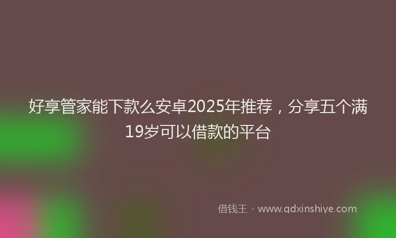 好享管家能下款么安卓2025年推荐，分享五个满19岁可以借款的平台
