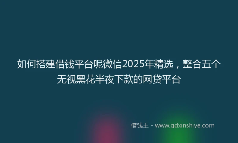 如何搭建借钱平台呢微信2025年精选，整合五个无视黑花半夜下款的网贷平台