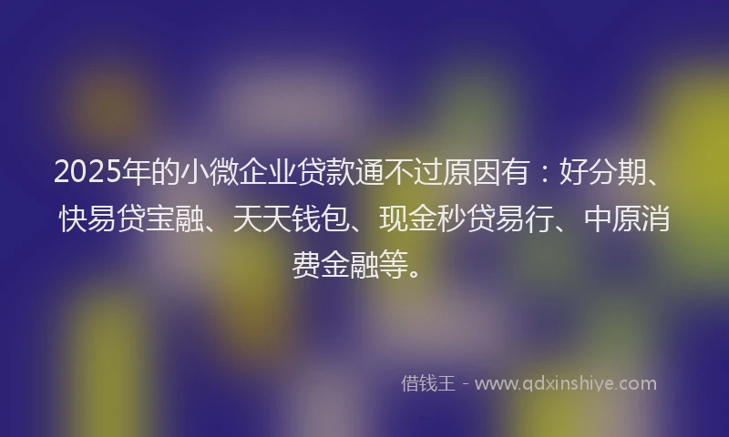 2025年的小微企业贷款通不过原因有：好分期、快易贷宝融、天天钱包、现金秒贷易行、中原消费金融等。