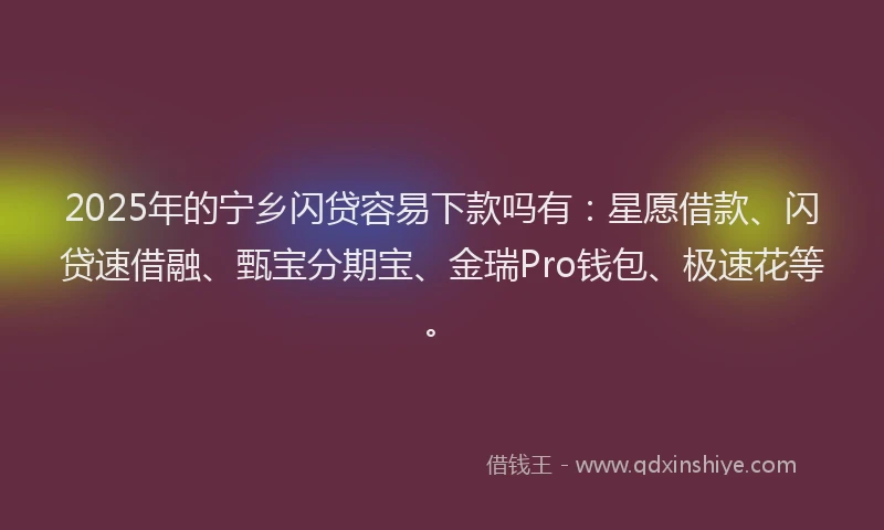 2025年的宁乡闪贷容易下款吗有：星愿借款、闪贷速借融、甄宝分期宝、金瑞Pro钱包、极速花等。