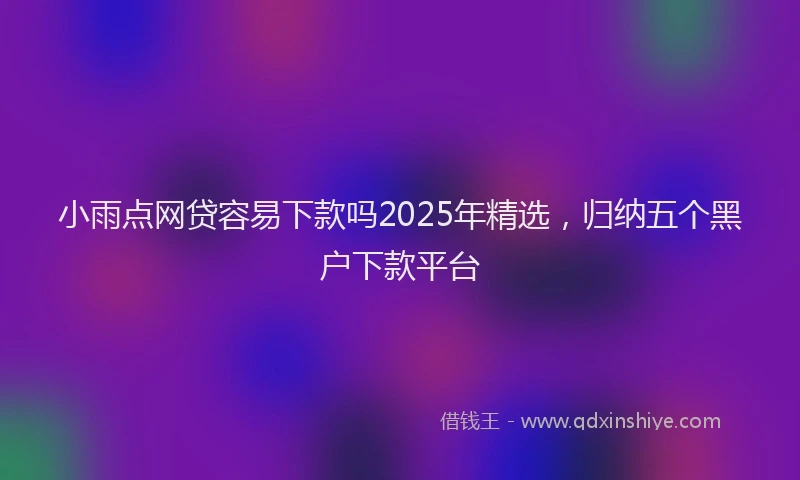 小雨点网贷容易下款吗2025年精选，归纳五个黑户下款平台