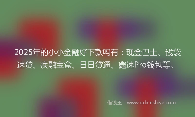 2025年的小小金融好下款吗有：现金巴士、钱袋速贷、疾融宝盒、日日贷通、鑫速Pro钱包等。