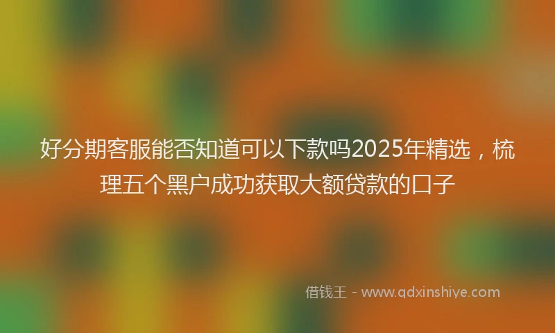好分期客服能否知道可以下款吗2025年精选，梳理五个黑户成功获取大额贷款的口子