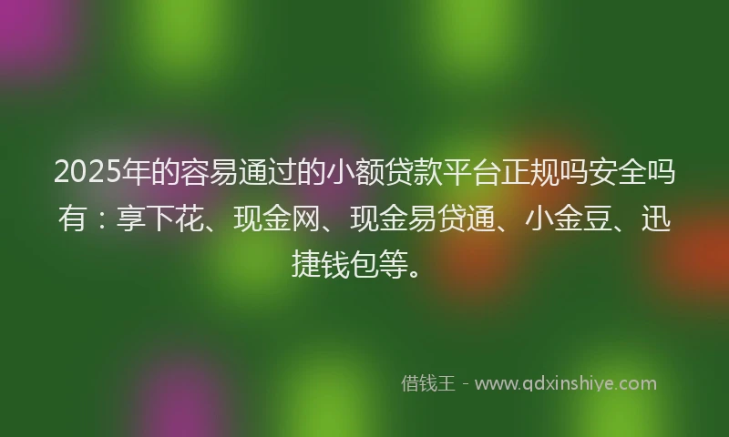 2025年的容易通过的小额贷款平台正规吗安全吗有：享下花、现金网、现金易贷通、小金豆、迅捷钱包等。