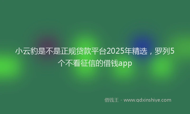 小云豹是不是正规贷款平台2025年精选，罗列5个不看征信的借钱app