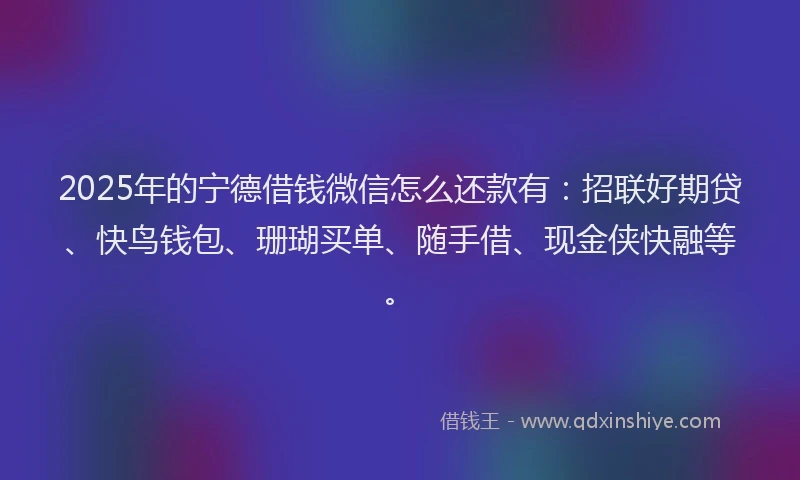 2025年的宁德借钱微信怎么还款有：招联好期贷、快鸟钱包、珊瑚买单、随手借、现金侠快融等。