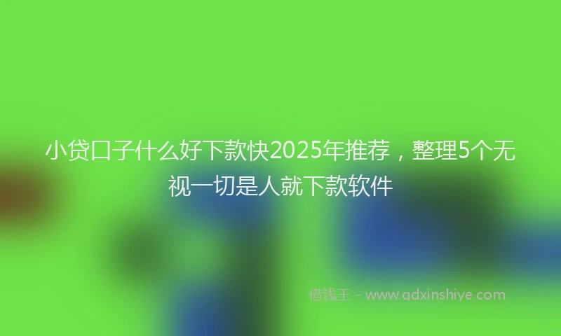 小贷口子什么好下款快2025年推荐，整理5个无视一切是人就下款软件