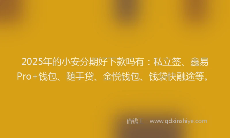 2025年的小安分期好下款吗有：私立签、鑫易Pro+钱包、随手贷、金悦钱包、钱袋快融途等。